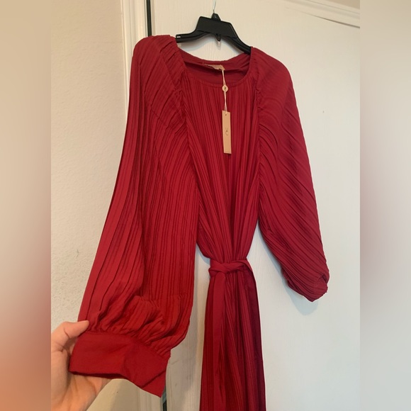 Veiled Collection Burgundy Pleated Dress - Picture 2 of 3